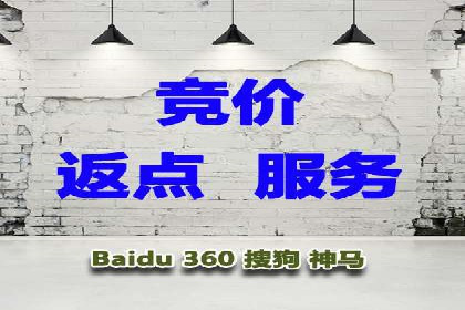 百度竞价广告与社交媒体广告的联合投放案例